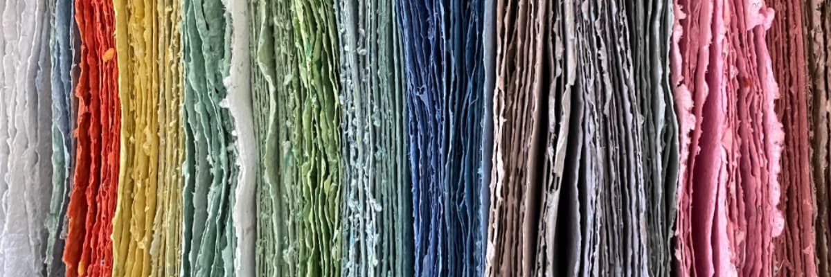 Wild Root Studio banner