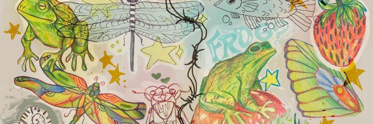 EverythingCraft_SA banner