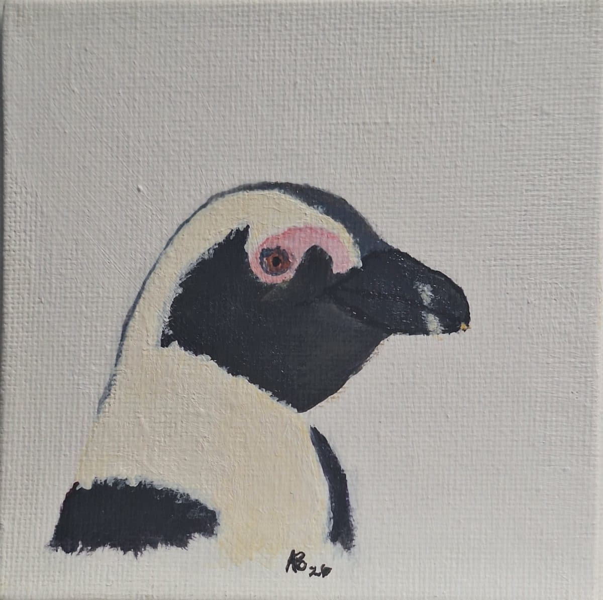 Cape Penguin I