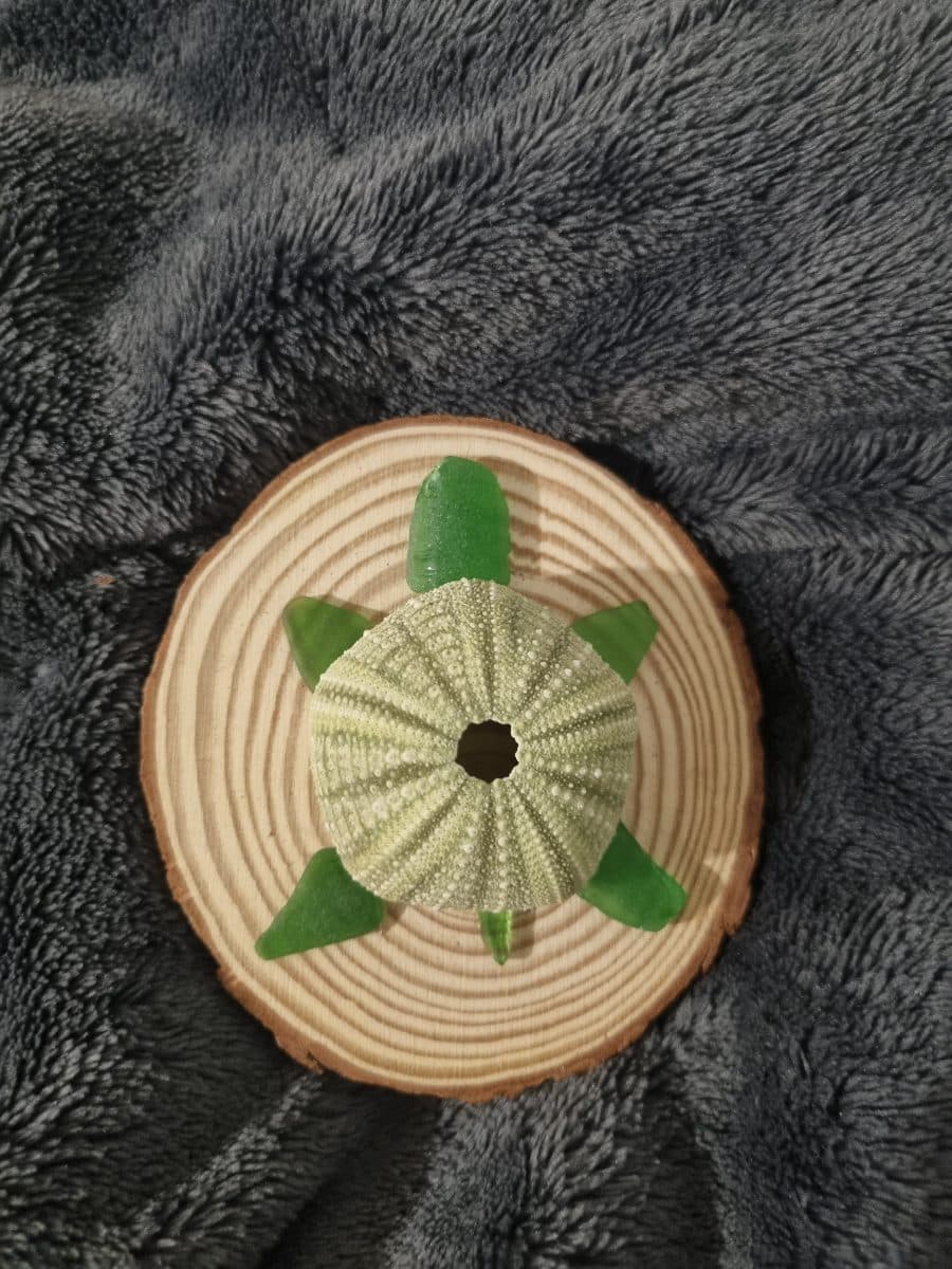 Wooden Decor Discs