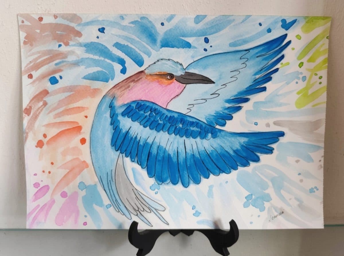 Colorful Roller