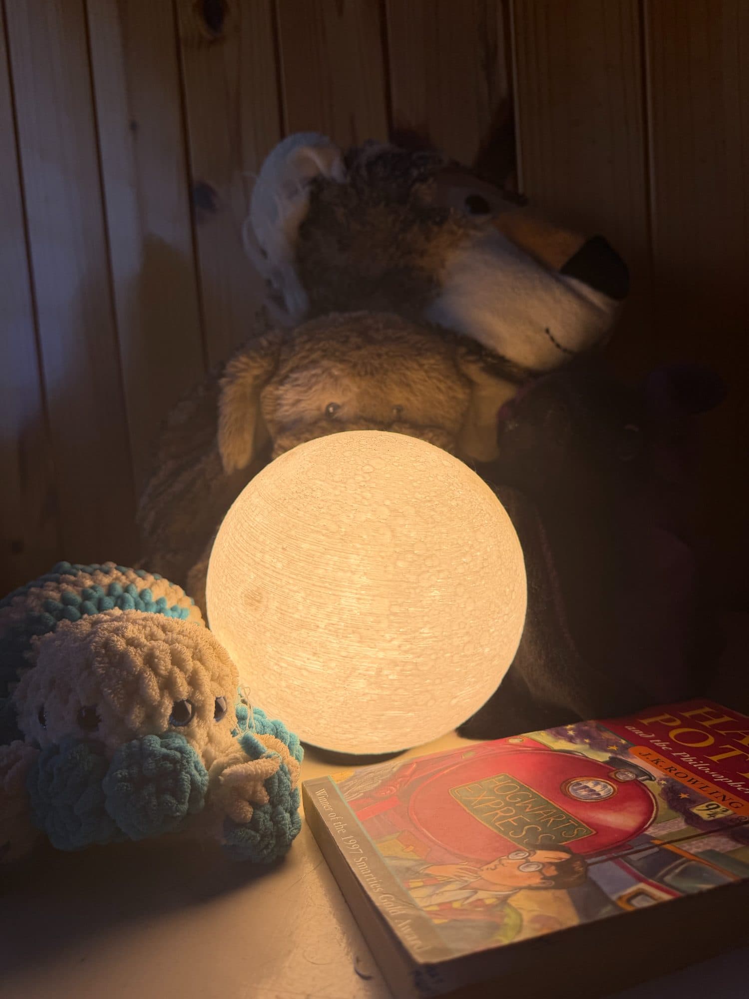 Moon Night light