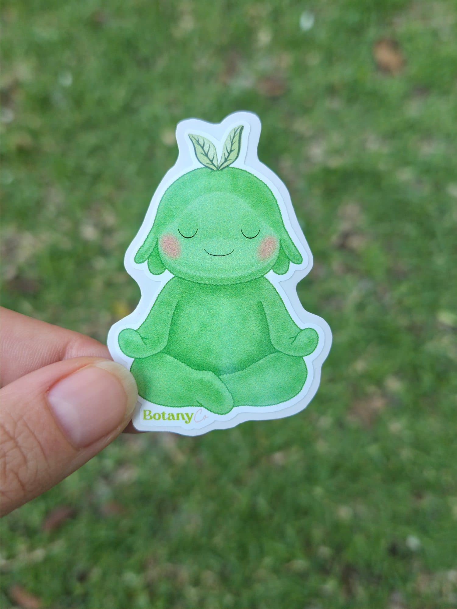 Meditating Sprout