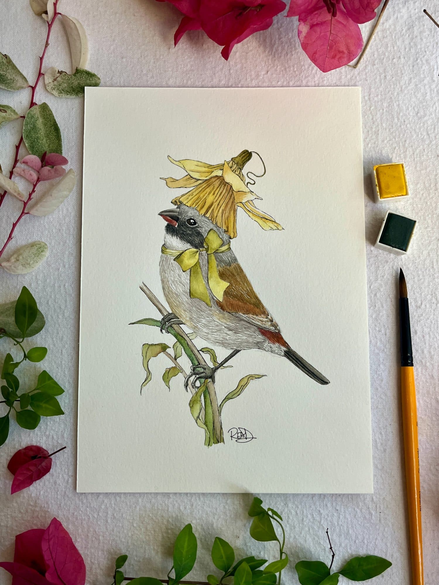 Swee Waxbill 🐦 Original A5 Watercolour Painting, image 1