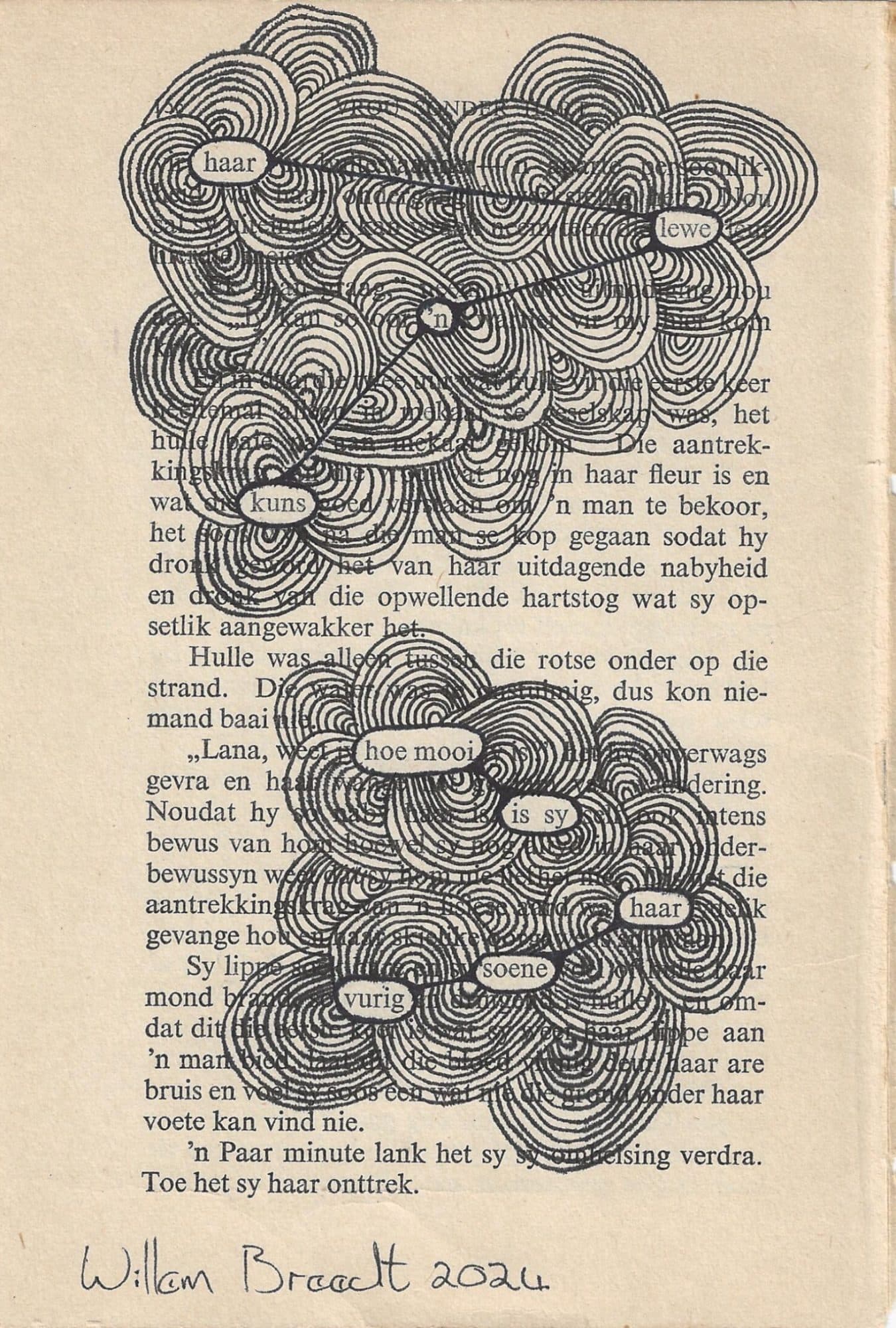Blockout Poem - Hoe Mooi Is Sy, image 1