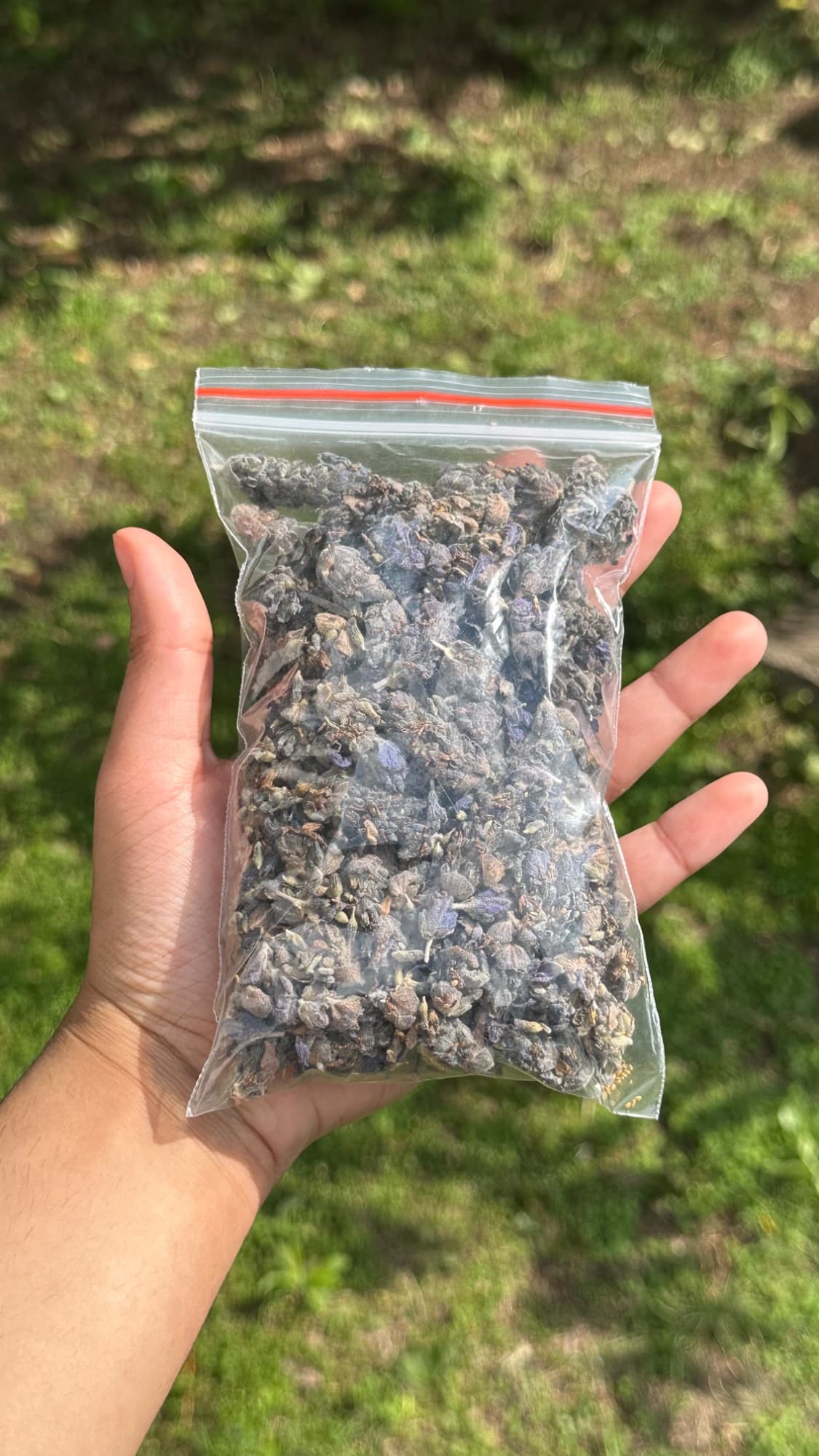 Dried lavender , image 1