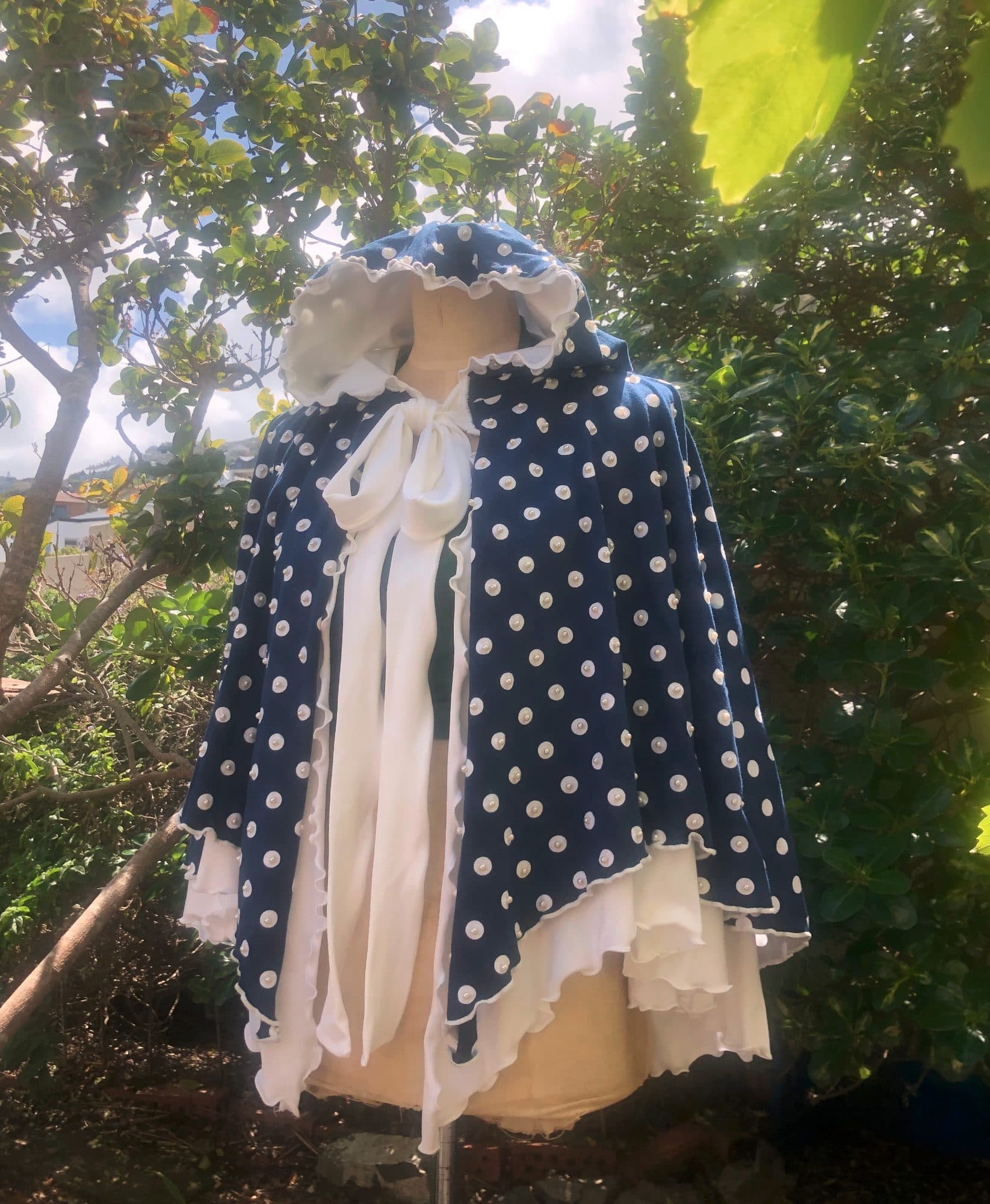 Captivating Capes: Polka Party, image 1