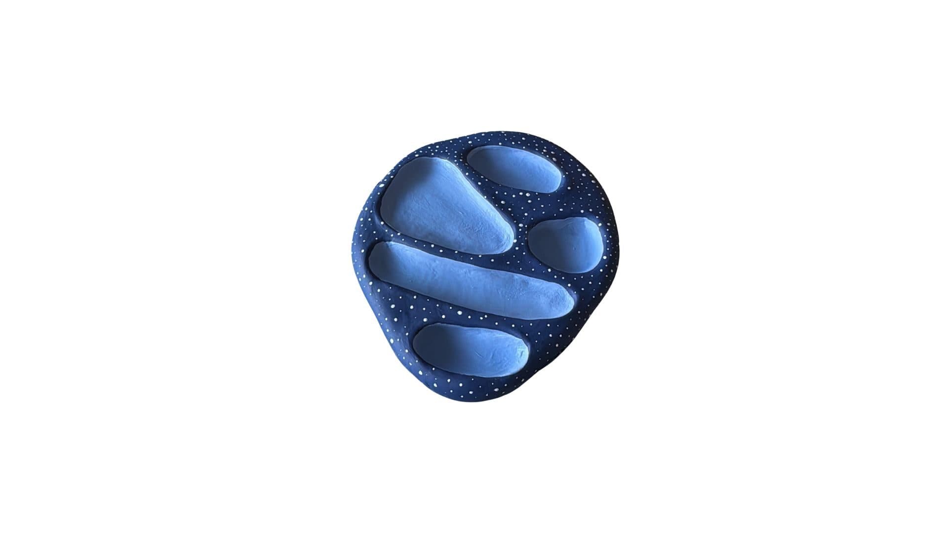 Whale Shark Ring Holder