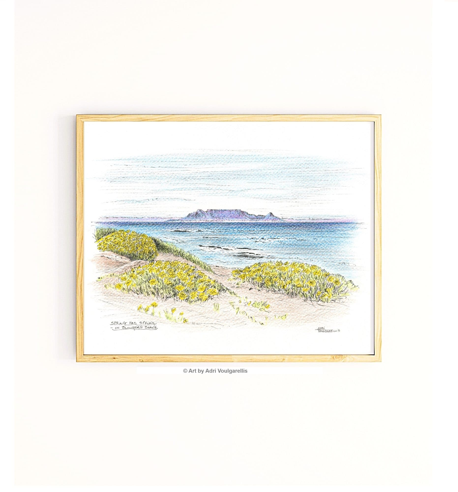 Spring has Sprung on the Beach; Table Mountain & Yellow Wildflowers on Blouberg Beach Art Print: Ink & Colour Pencil Sketch Draw (Open Edition print), image 1