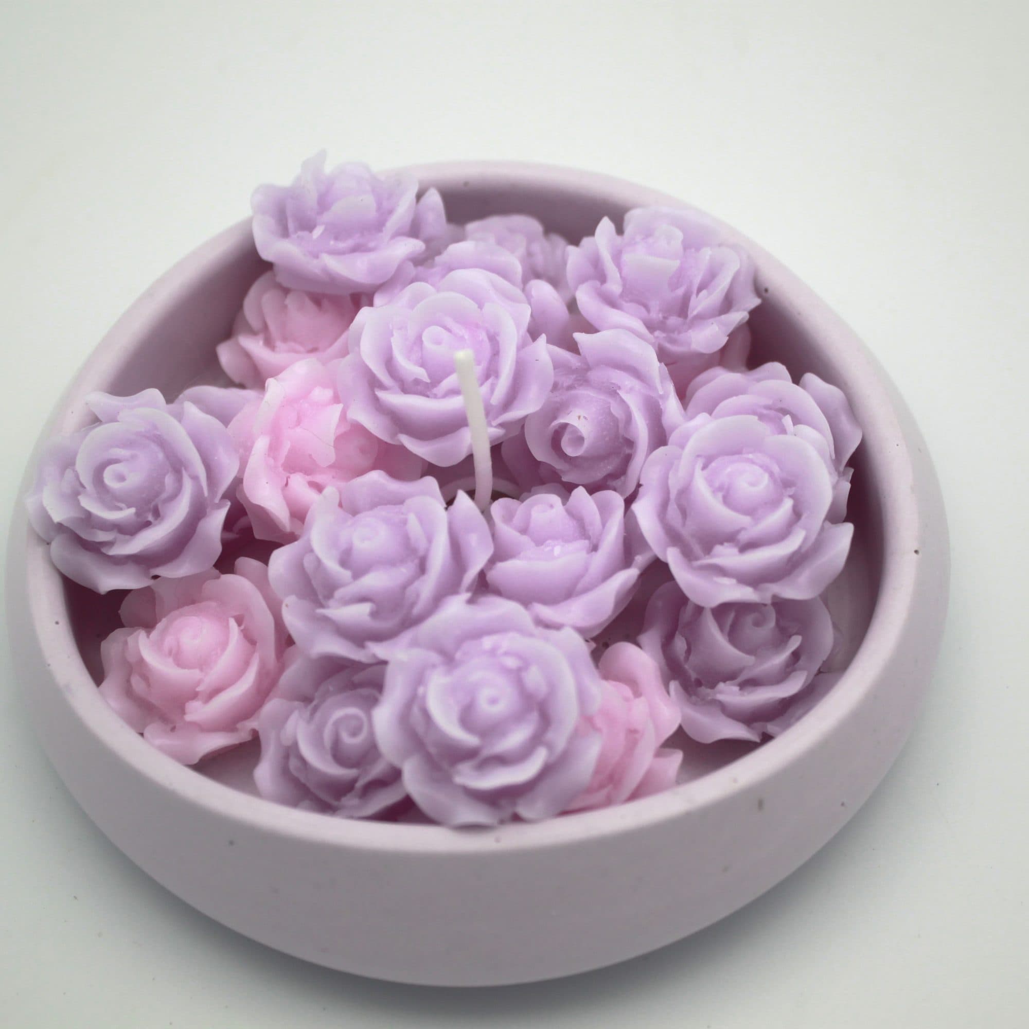 Plate of Roses