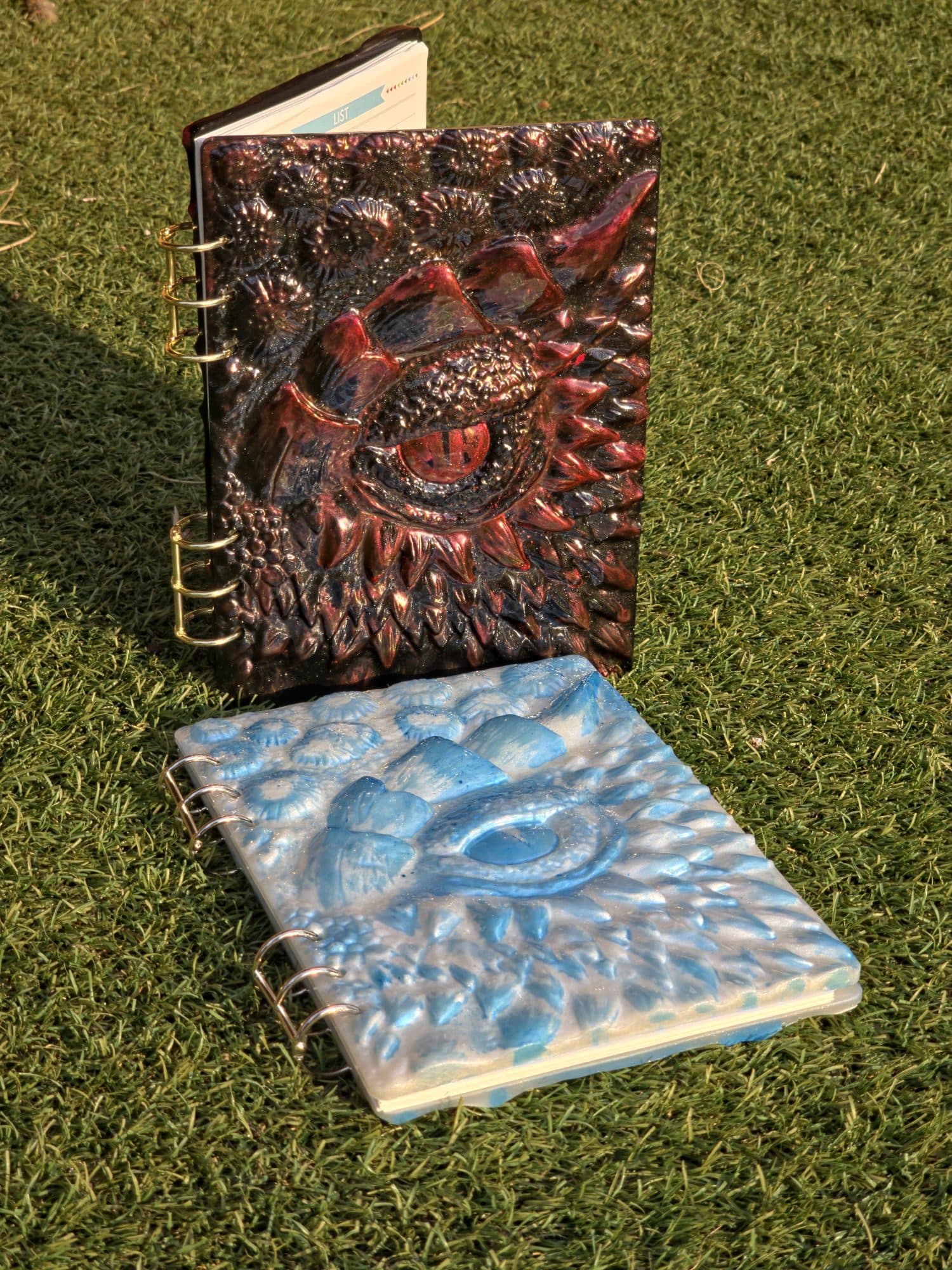 Dragon eye book