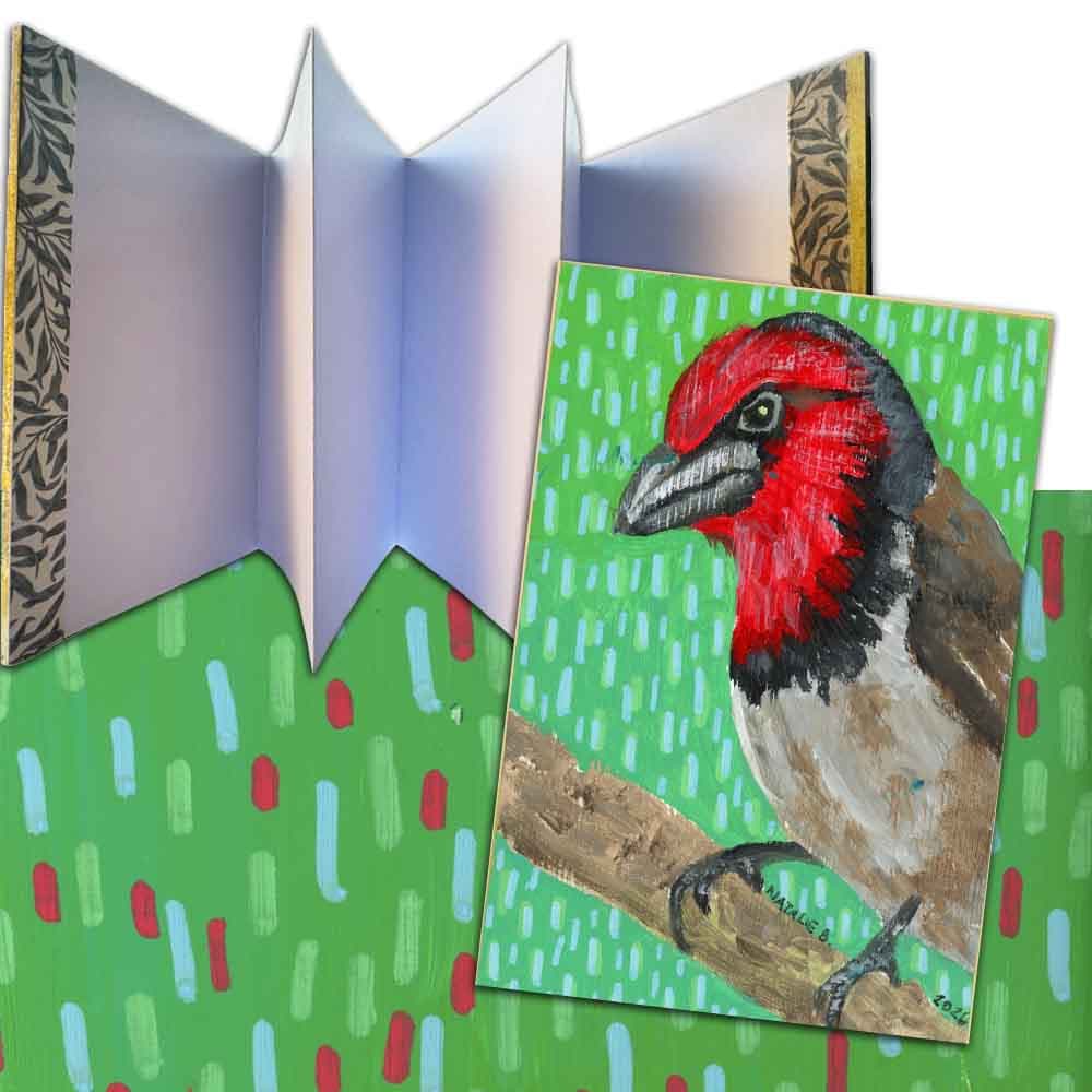 Accordion Journal : Black-Collard Barbet