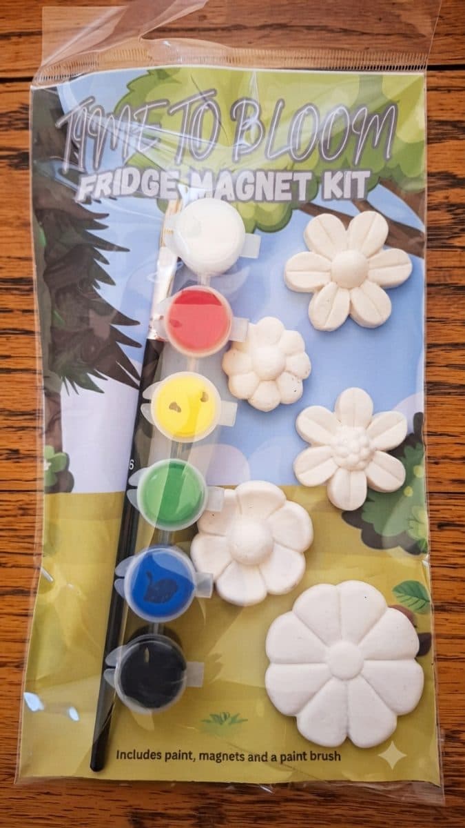 Time to bloom Fridge Magnet Kit