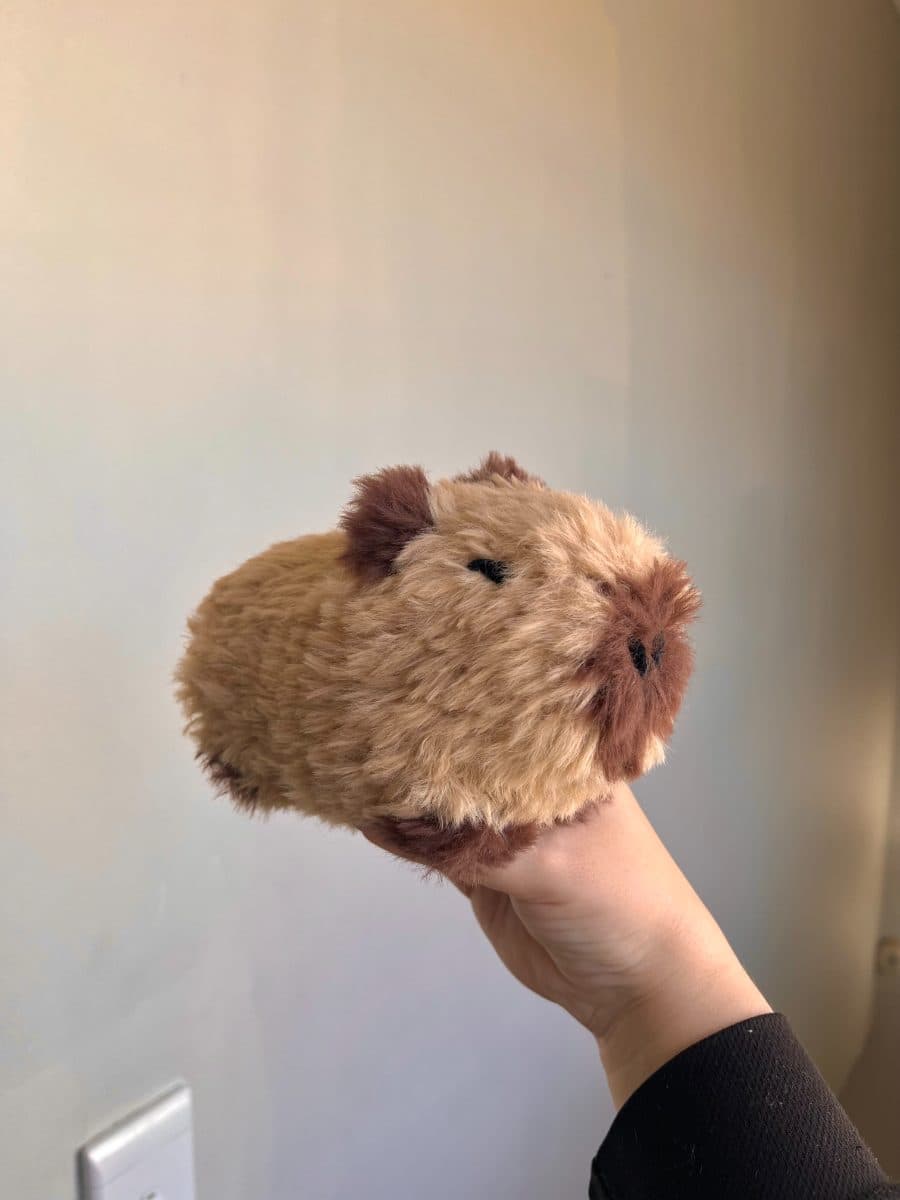 Furry Capybara