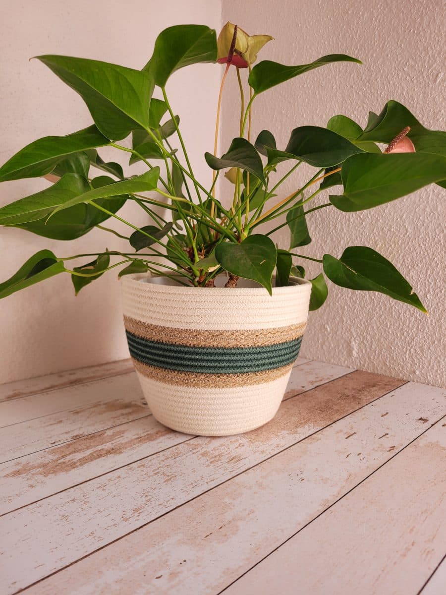 Rope Planter