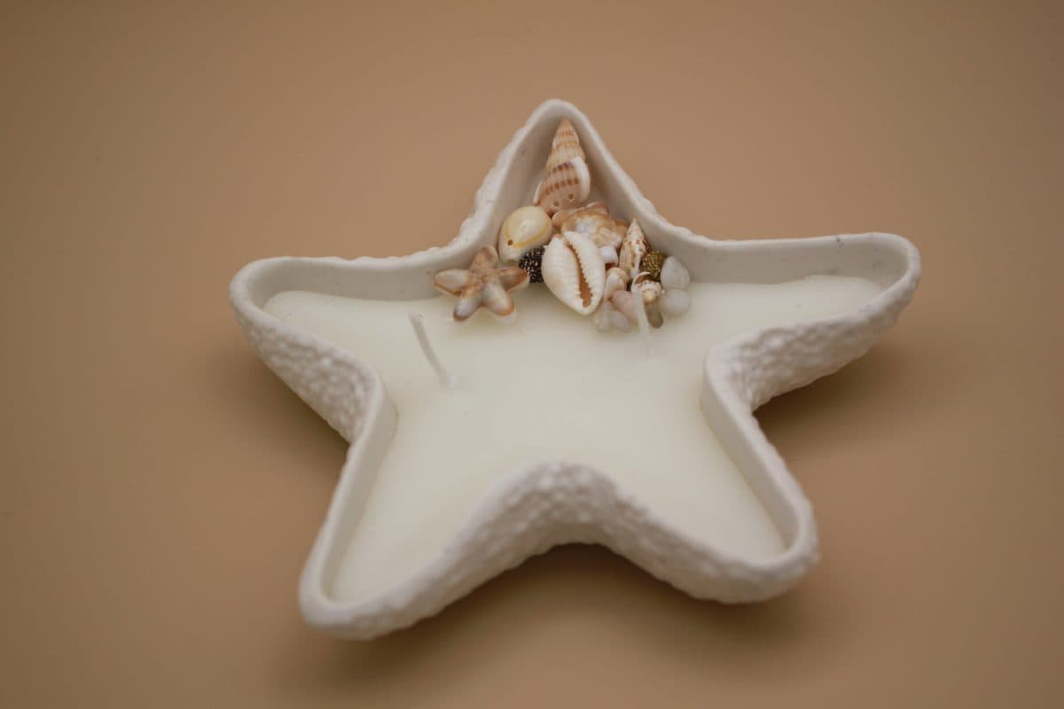 Gypsum starfish