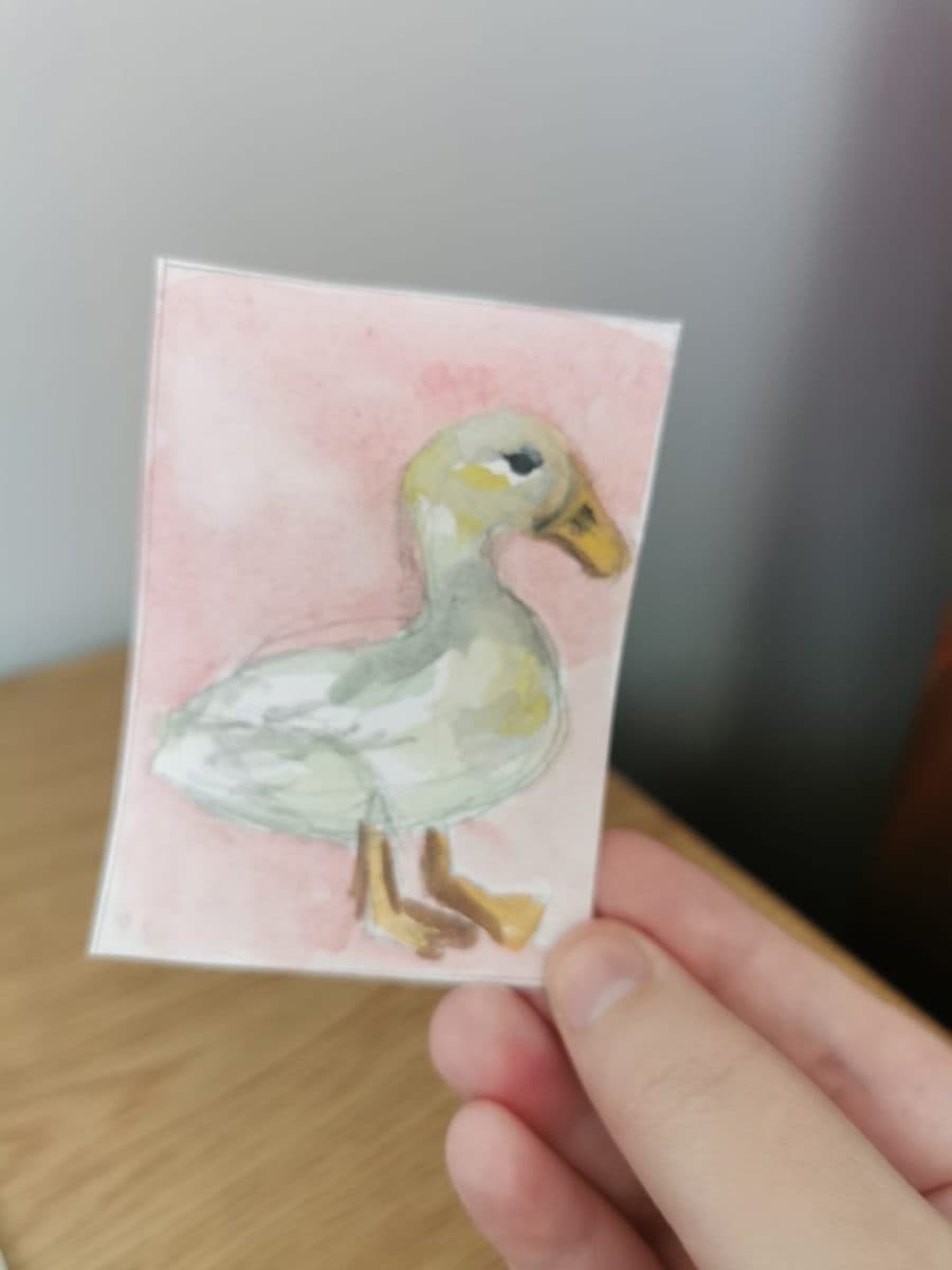 Watercolour Duck ACEO