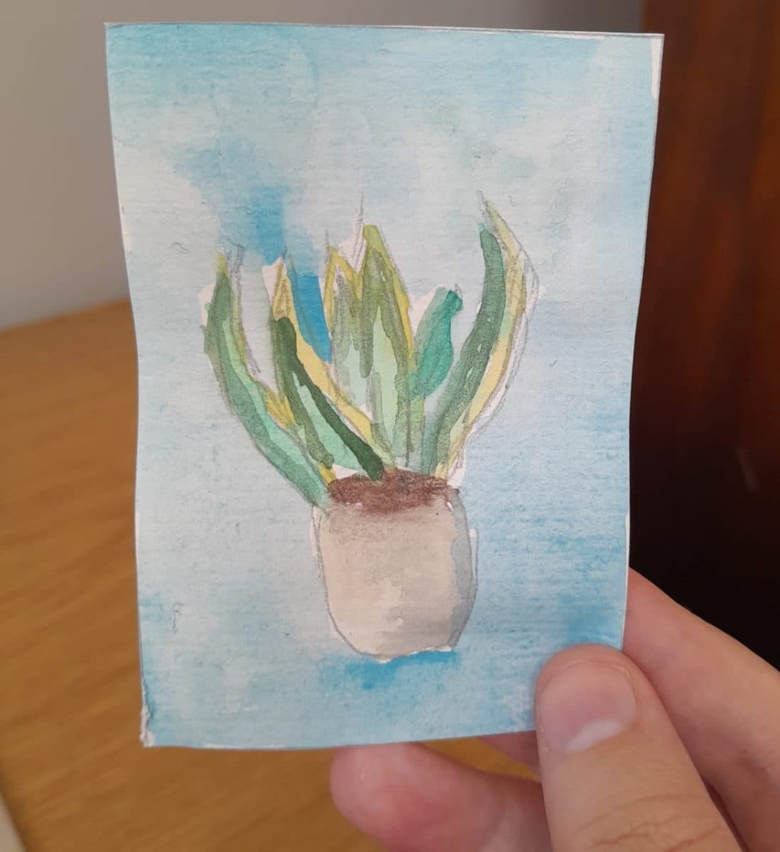 Watercolour Snake Plant