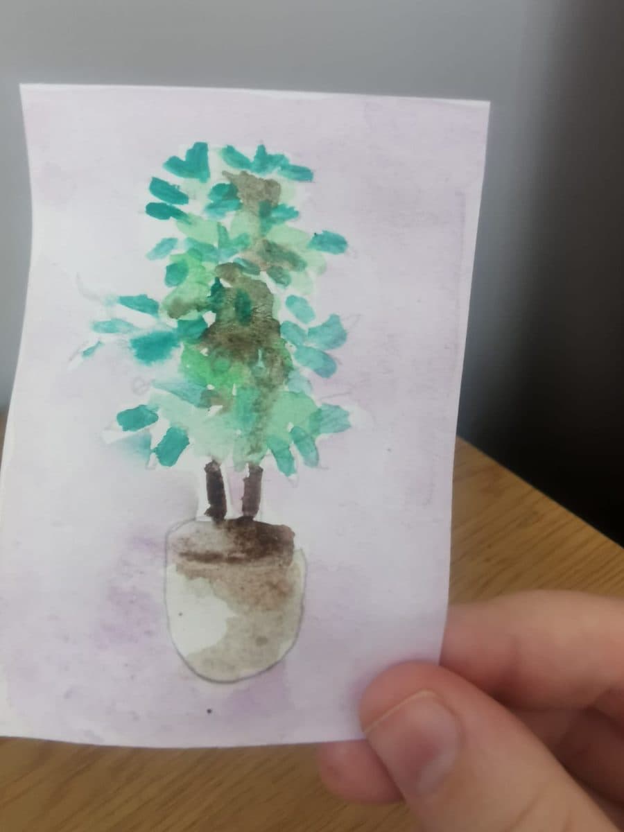 Watercolour Ficus
