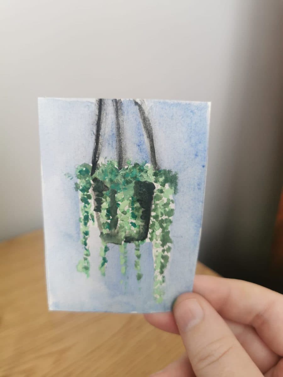 String of Pearls Plant ACEO