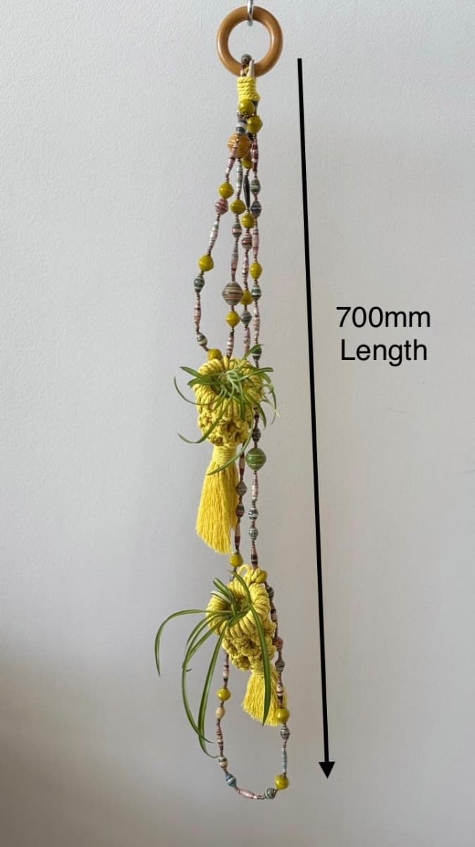 Vibrant Yellow Macramé air-plant hanger