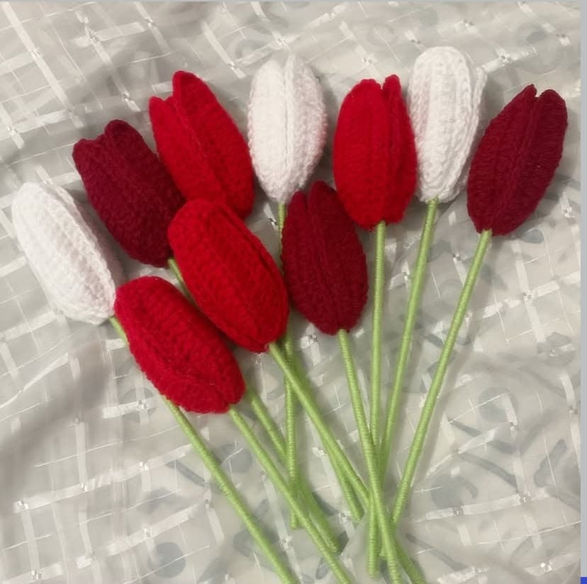 red and white tulips