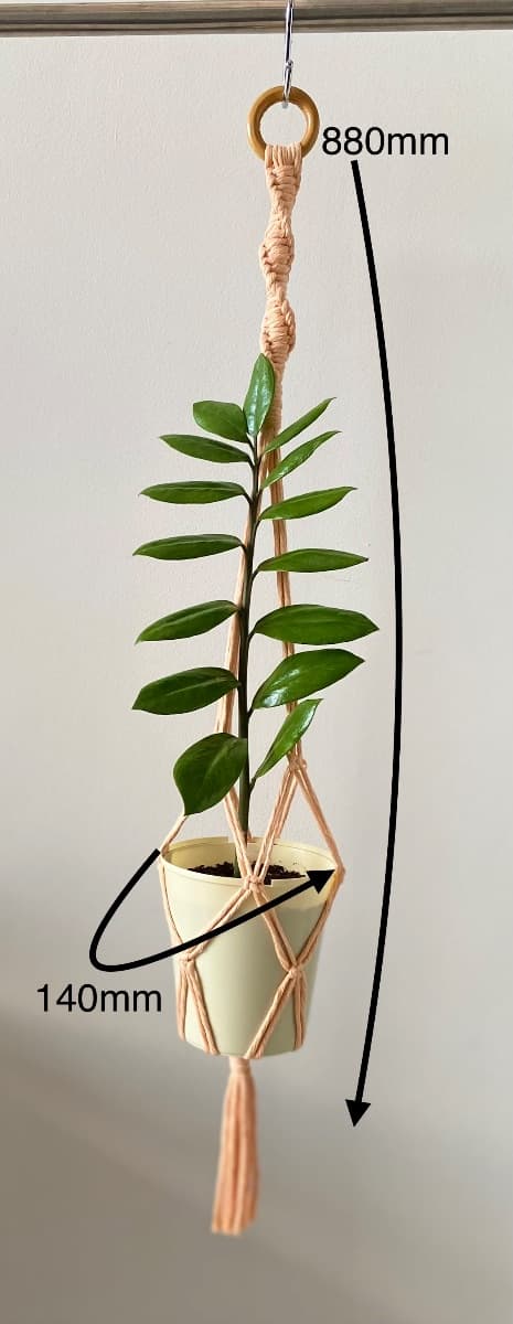 Peach Macramé Hanger