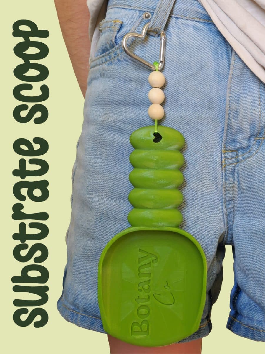Substrate Scoop
