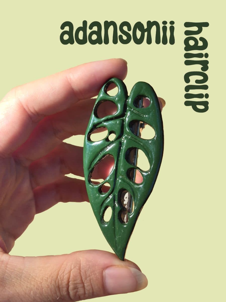Monstera Adansonii Hairclip