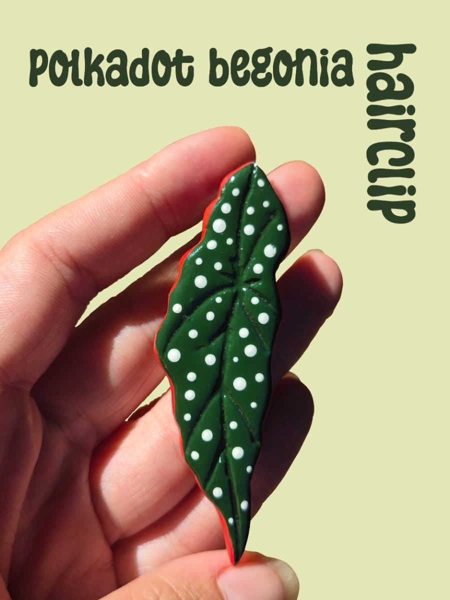 Polkadot Begonia Hairclip