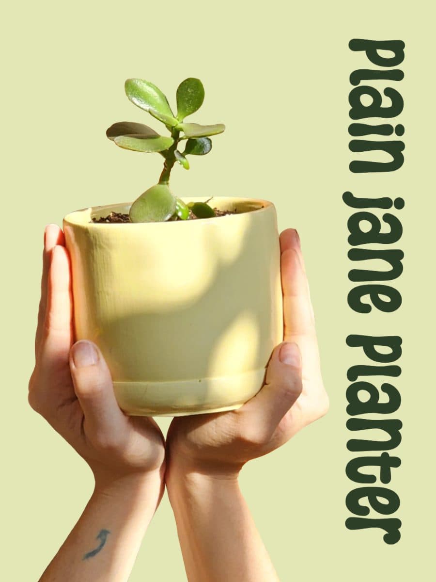 Plain Jane Planter (small)