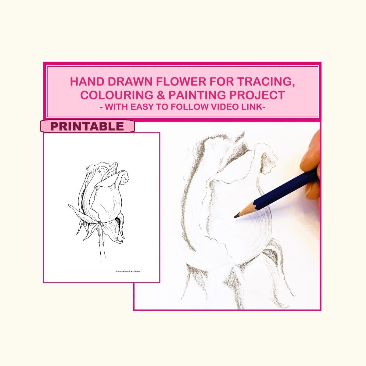 Rosebud Outline Drawing, Sketch & Paint Art Tutorial (PDF) with free to watch video link.