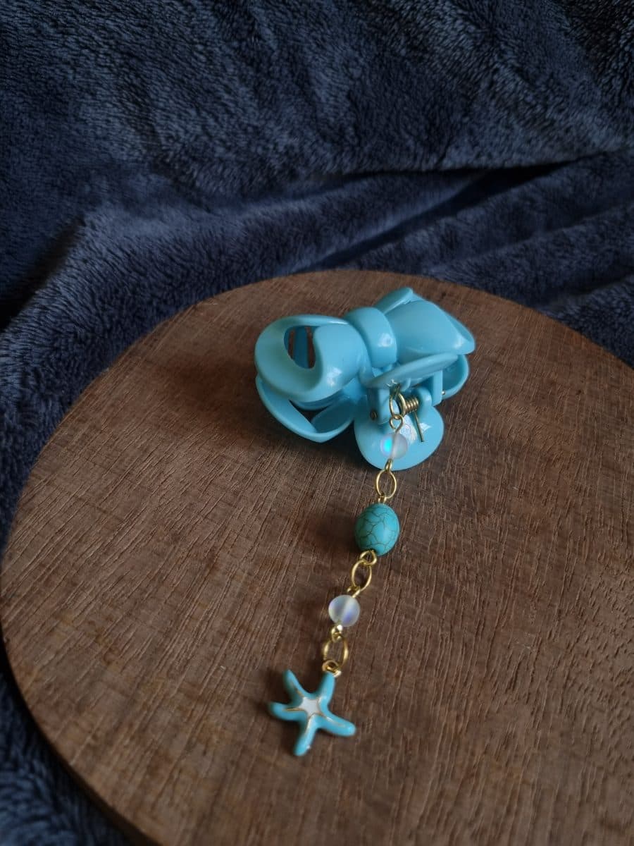 Colourful Accessorised Claw Clips