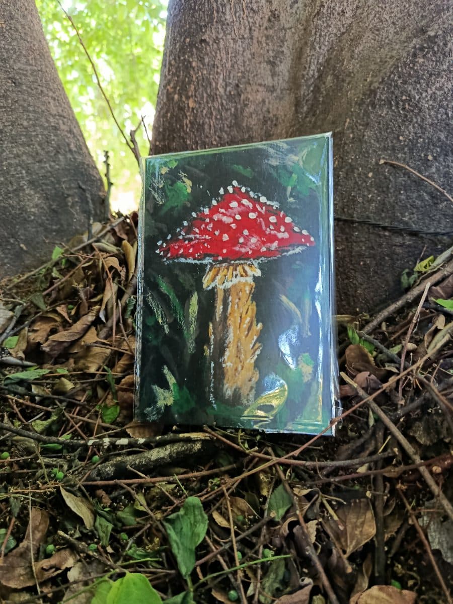 Flying Agaric Mushroom Art Print