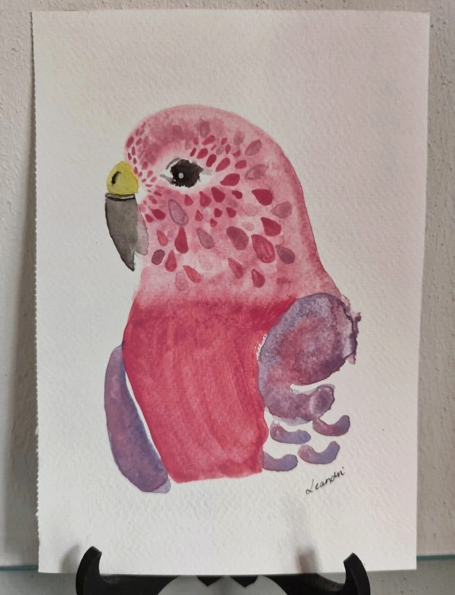 Pink budgie
