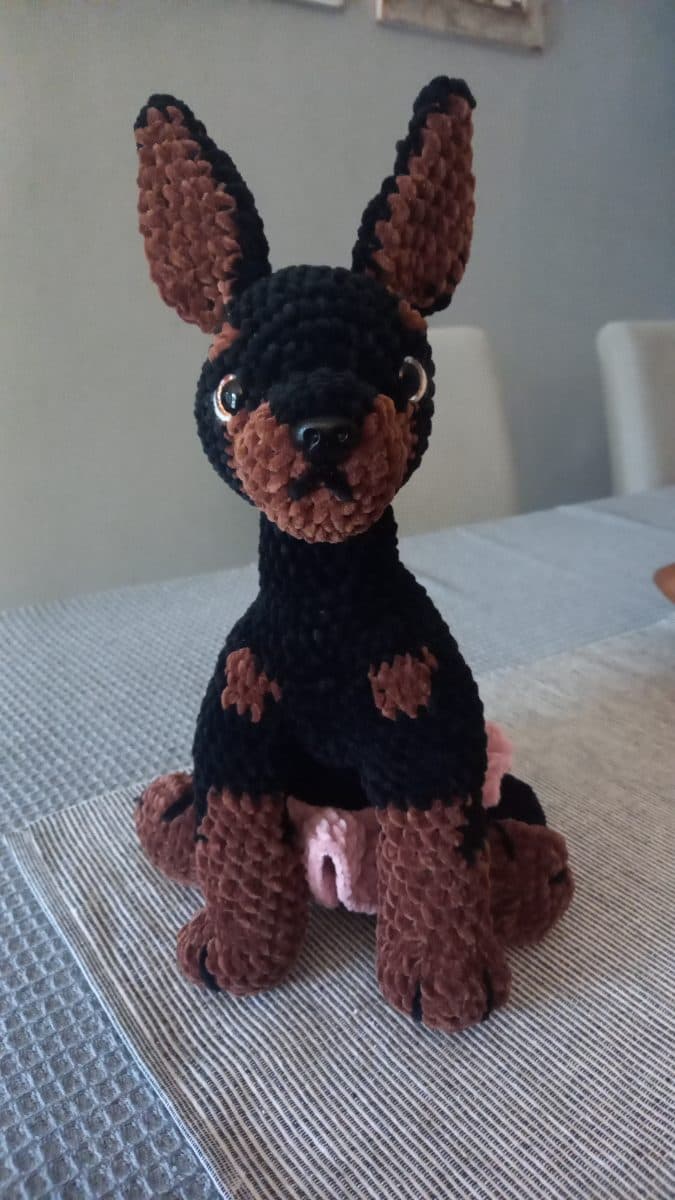 Large custom pet crochet