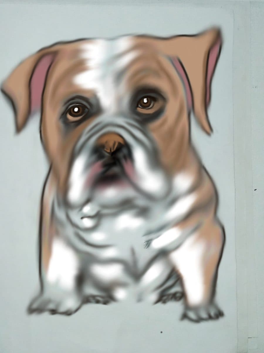 Loyal Paws