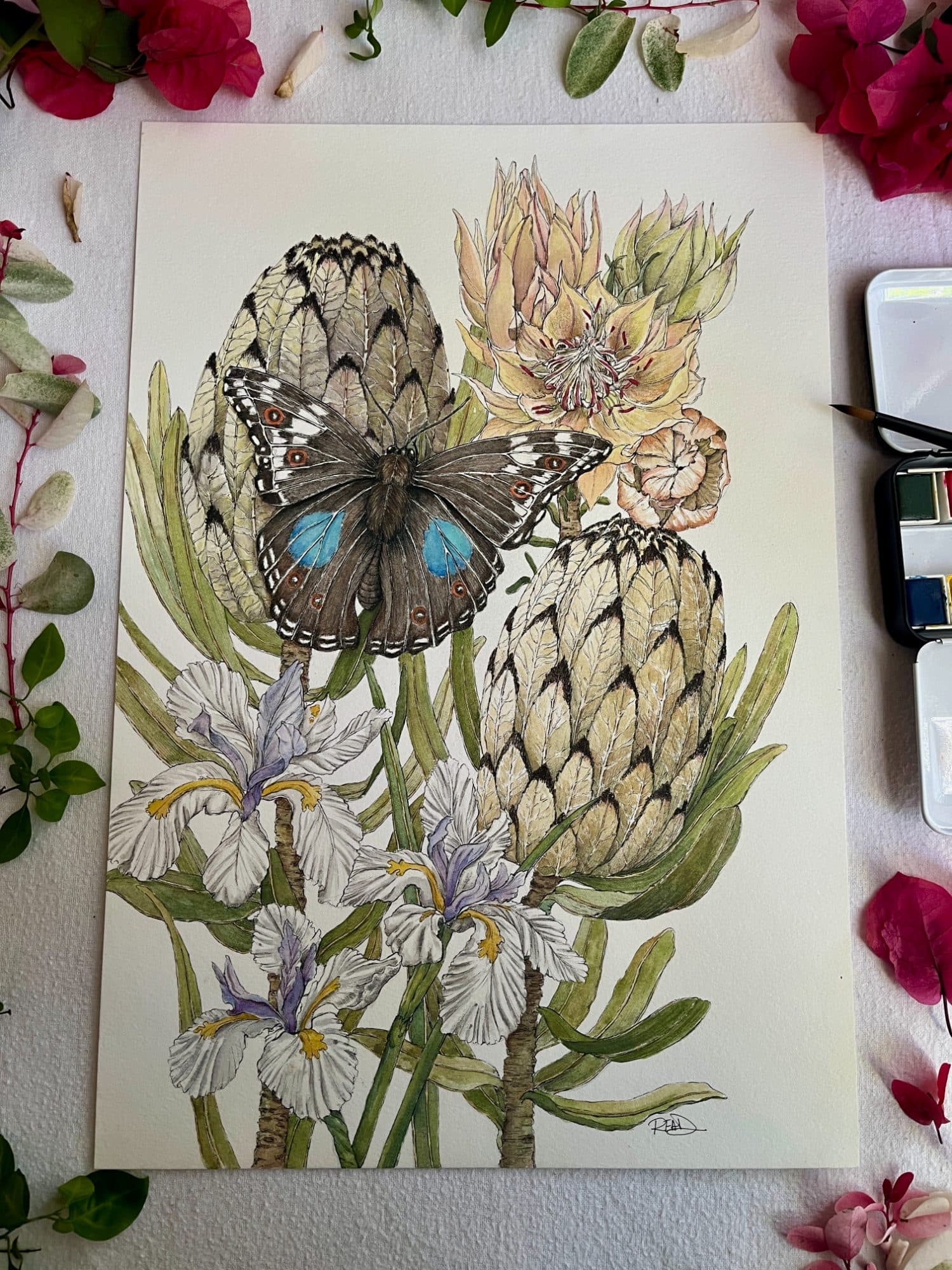 Protea Bouquet and Blue Pansy Butterfly Original Botanical Watercolour Painting