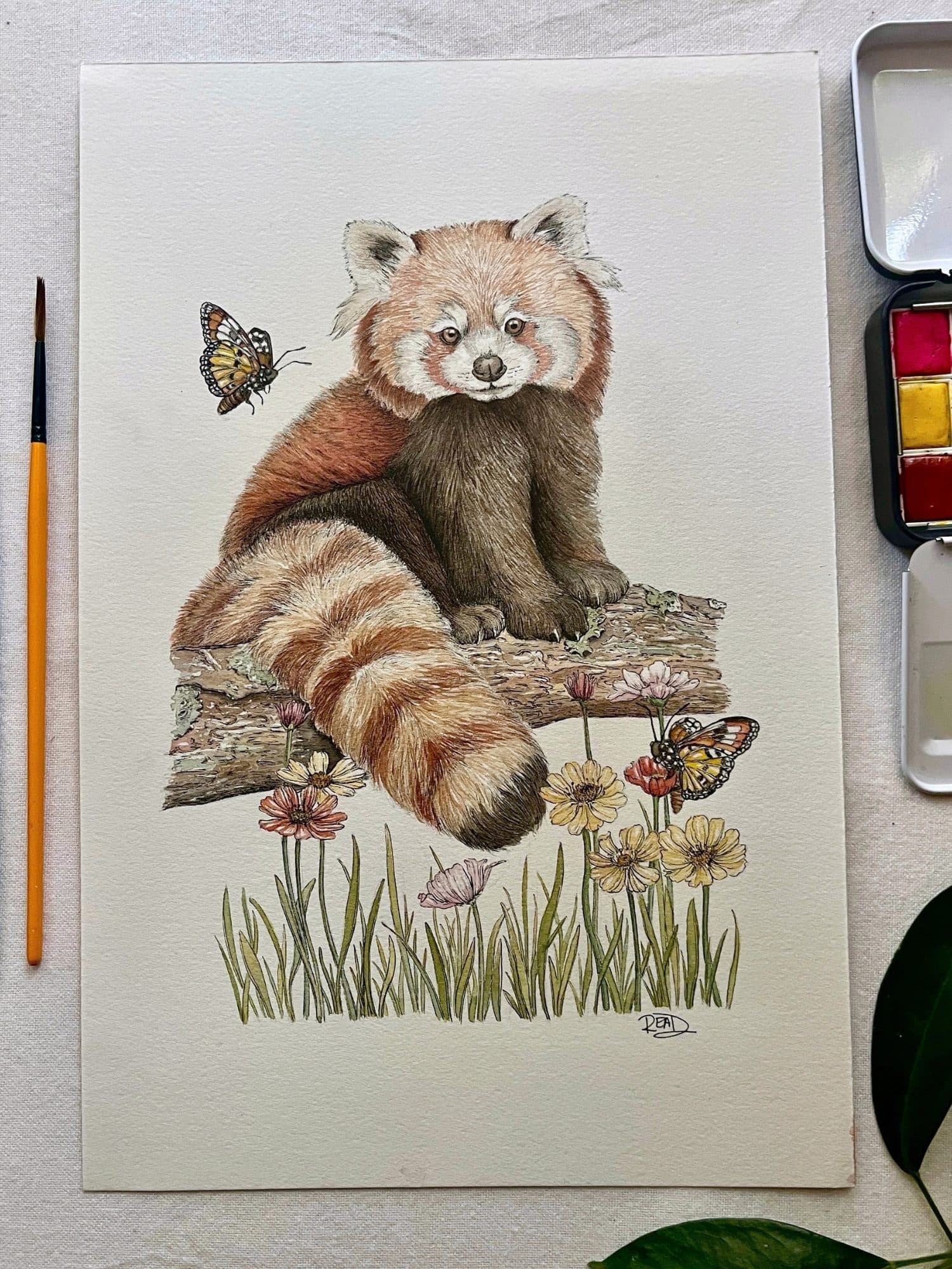 Red Panda Watercolour Painting (20 × 30 cm)